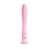 Ladies Ballet AV Vibrator