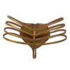 Men’s power cage briefs