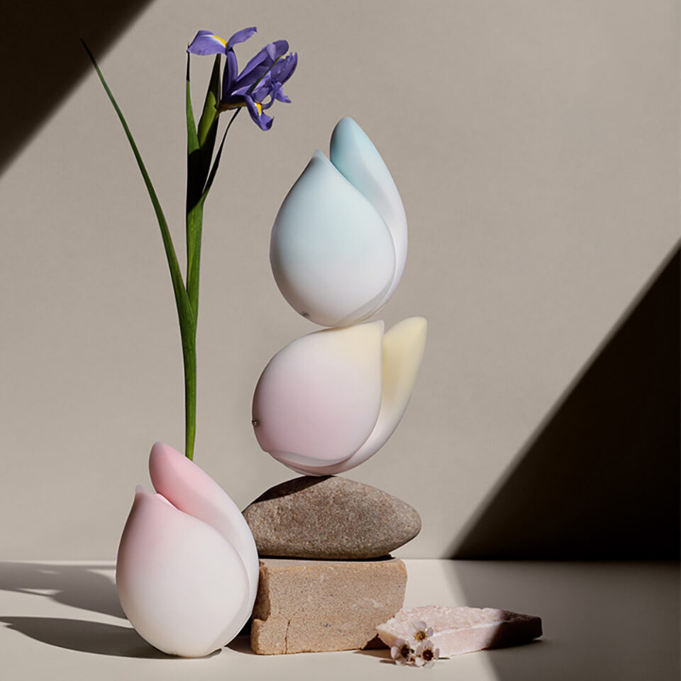 2 in 1 split combination sucking vibrator