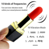 Lipstick Rechargeable Bullet Vibrator