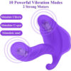 Remote controlled heated vibrator
